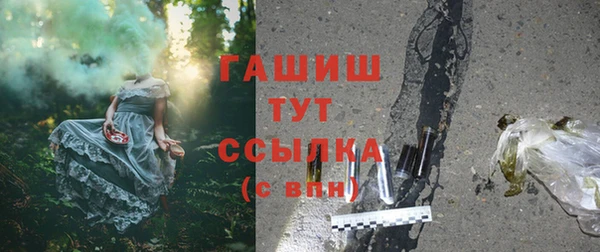 индика Медногорск