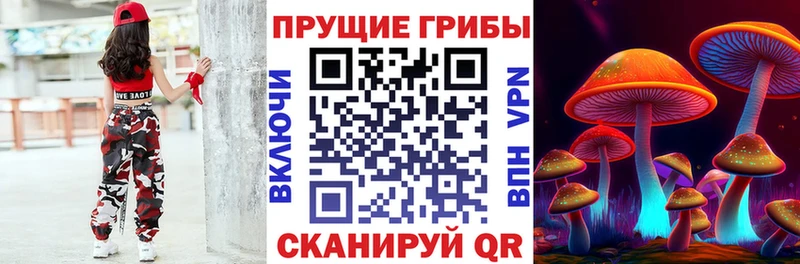 Галлюциногенные грибы GOLDEN TEACHER  где купить   OMG зеркало  Шарья 